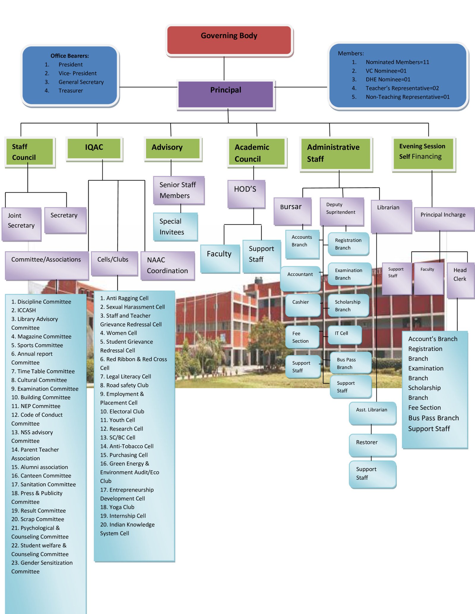 College Organogram Chart